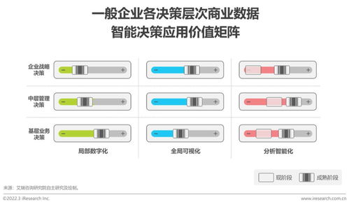 2022年中國商業(yè)數(shù)據(jù)智能行業(yè)研究 人工智能基礎(chǔ)軟件開發(fā)的機遇與挑戰(zhàn)
